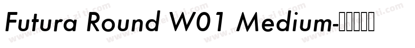 Futura Round W01 Medium字体转换